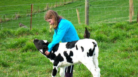 Gumtree Farmstay - Tourism Bookings NZ 13