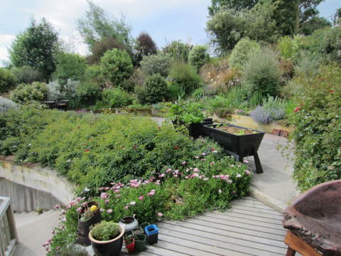 Gumtree Farmstay - Tourism Bookings NZ 23