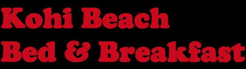 Kohi Beach Bed & Breakfast - Tourism Bookings NZ 21