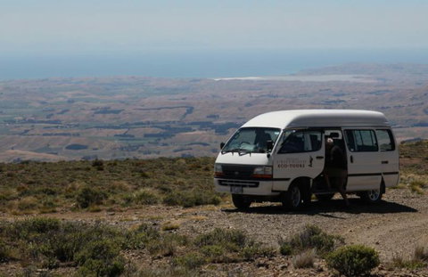 Driftwood Retreat - Tourism Bookings NZ 9