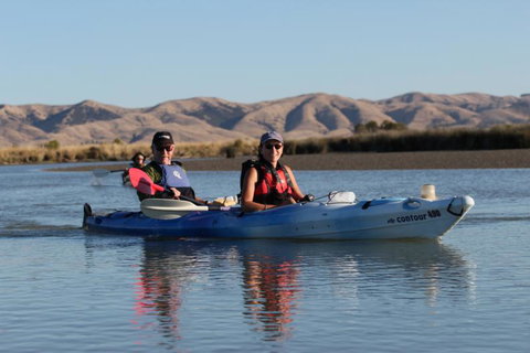 Driftwood Retreat - Tourism Bookings NZ 11