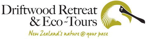Driftwood Retreat - Tourism Bookings NZ 12