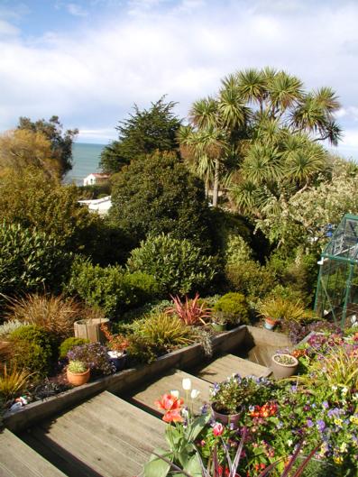 Catlins Accommodation - Tourism Bookings NZ 1