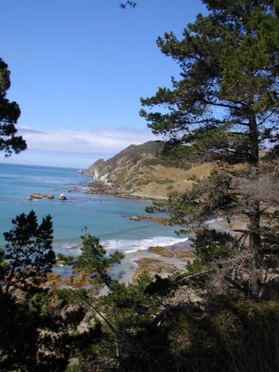 Catlins Accommodation - Tourism Bookings NZ 2