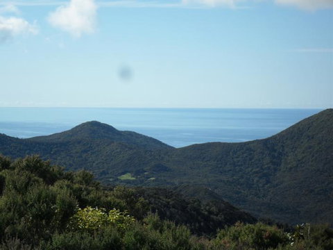 Nature's Garden B&B - Tourism Bookings NZ 4