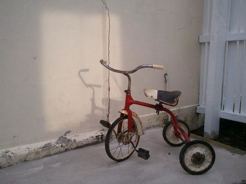 Designer Cottage B&B - Tourism Bookings NZ 4