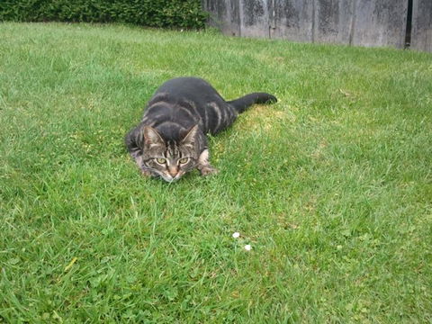 Designer Cottage B&B - Tourism Bookings NZ 7