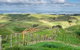 Waitomo Boutique Lodge - thumb 6