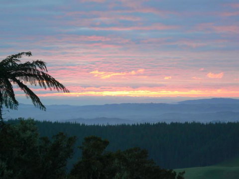 Waitomo Boutique Lodge - Tourism Bookings NZ 14