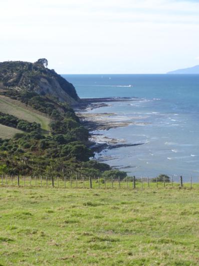The Sunny Side Up B&B - Tourism Bookings NZ 17