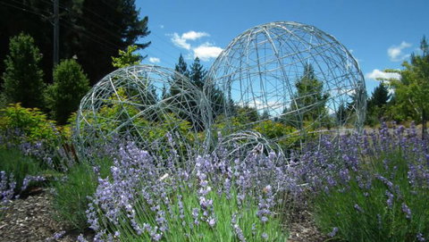 The Loft @ Hidden Hills - Tourism Bookings NZ 7