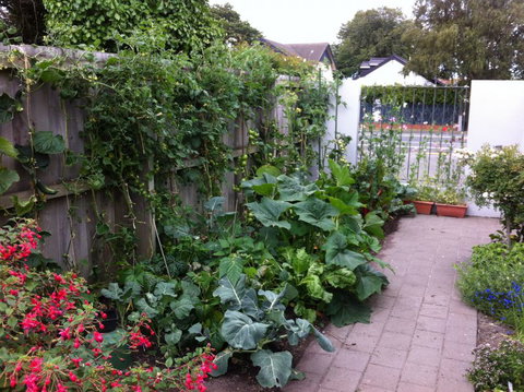 Garden B And B - Tourism Bookings NZ 7