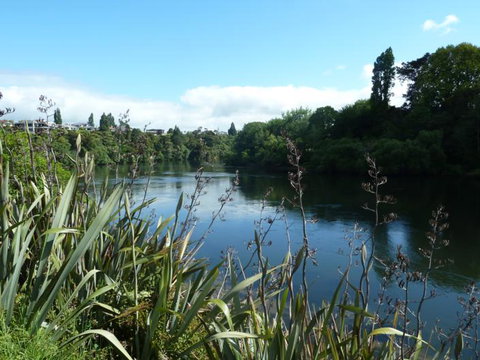 Awa Retreat - Tourism Bookings NZ 13