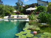 Wall Street Accommodation