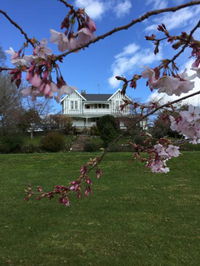 Mangawhare Historic Homestead Bed  Breakfast