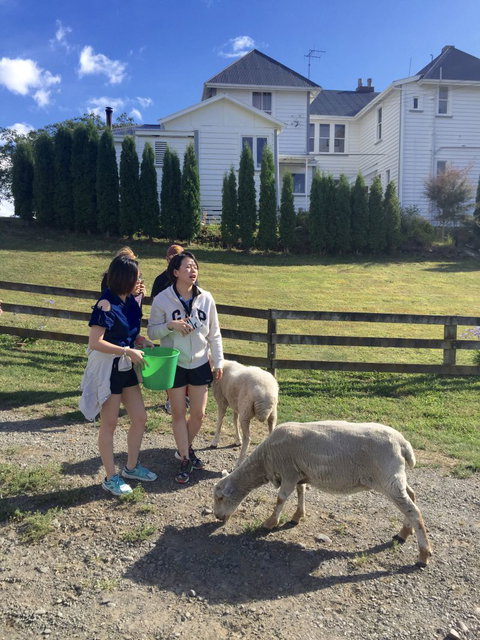 Mangawhare Historic Homestead Bed & Breakfast - Tourism Bookings NZ 1