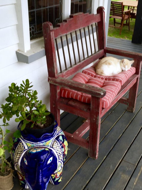 Mangawhare Historic Homestead Bed & Breakfast - Tourism Bookings NZ 2