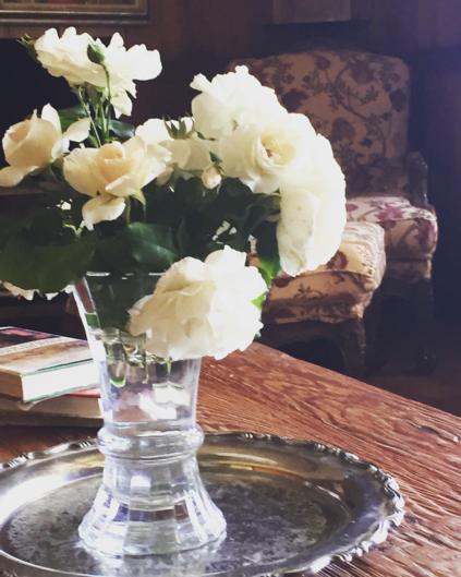 Mangawhare Historic Homestead Bed & Breakfast - Tourism Bookings NZ 7