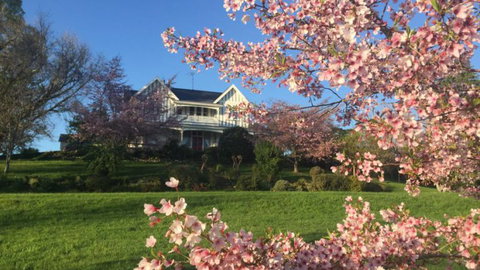 Mangawhare Historic Homestead Bed & Breakfast - Tourism Bookings NZ 8