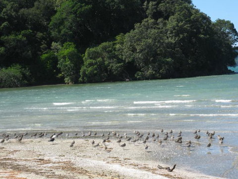 21HAMPTON - Tourism Bookings NZ 3