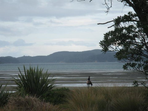 21HAMPTON - Tourism Bookings NZ 4