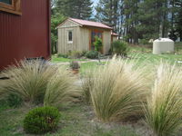 Behind the Bike Sheds