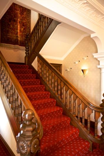 The Birches Bed & Breakfast - Tourism Bookings NZ 8