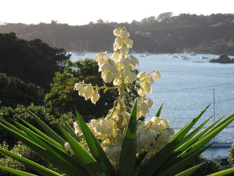 Studio 33 - Tourism Bookings NZ 0