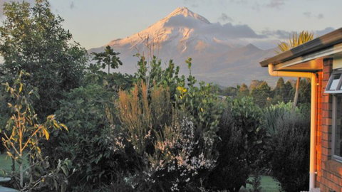 Bird Haven B & B - Tourism Bookings NZ 5