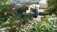 Oamaru House Bed  Breakfast