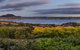 Te Moenga Lodge - thumb 5