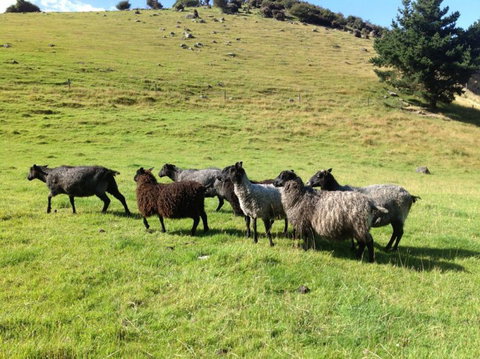 Tayler Point Homestay - Tourism Bookings NZ 9