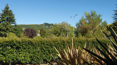 Lupin Lodge Bed & Breakfast - Tourism Bookings NZ 11