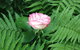 Heriot Lane City Apartments - thumb 15