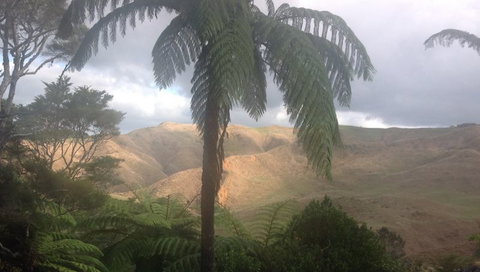 Karamu Valley Lodge - Tourism Bookings NZ 8