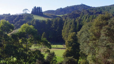 Karamu Valley Lodge - Tourism Bookings NZ 9
