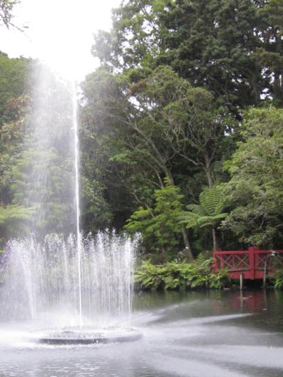 Tree Tops - Self Contained Apartment - Tourism Bookings NZ 10