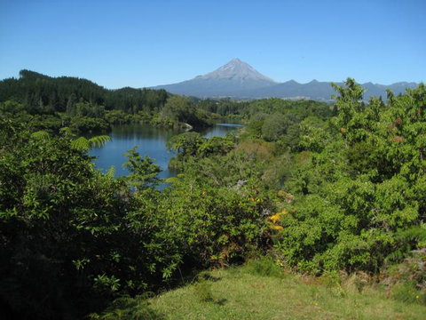 Tree Tops - Self Contained Apartment - Tourism Bookings NZ 16