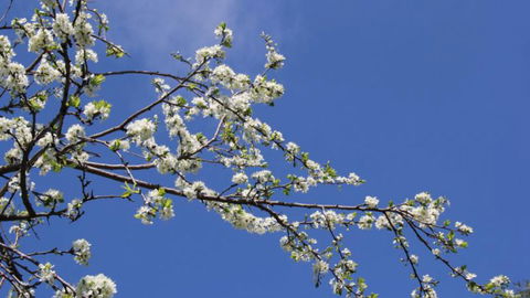 The Shed B&B  - Tourism Bookings NZ 5