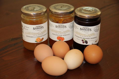 The Shed B&B  - Tourism Bookings NZ 7