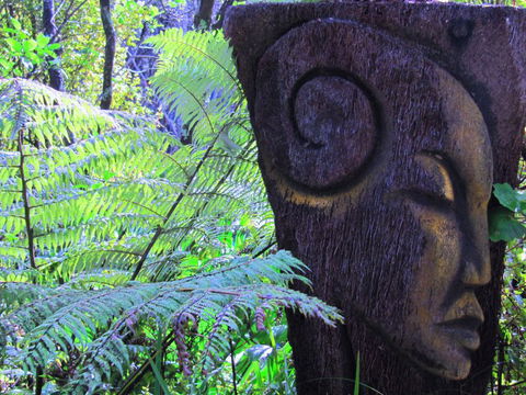 Waiheke Island Guesthouse - Tourism Bookings NZ 3