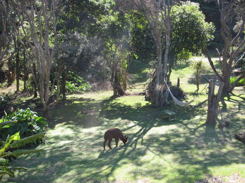 Waiheke Island Guesthouse - Tourism Bookings NZ 9