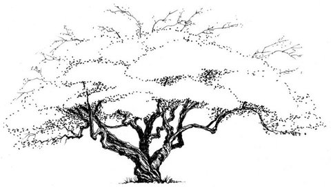 Plum Tree House B&B - Tourism Bookings NZ 3