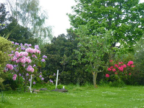 Angel's Rest - Tourism Bookings NZ 5