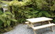 Franz Josef Holiday Rentals - thumb 3