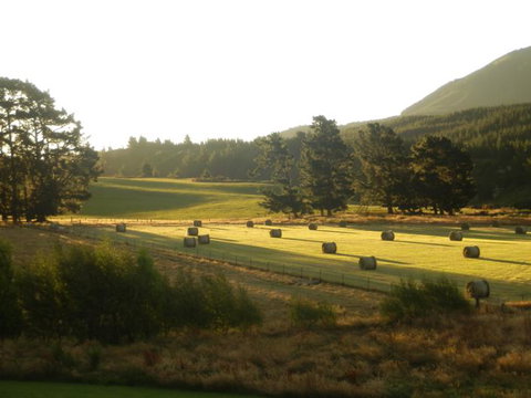 Awen Lodge B&B - Tourism Bookings NZ 1