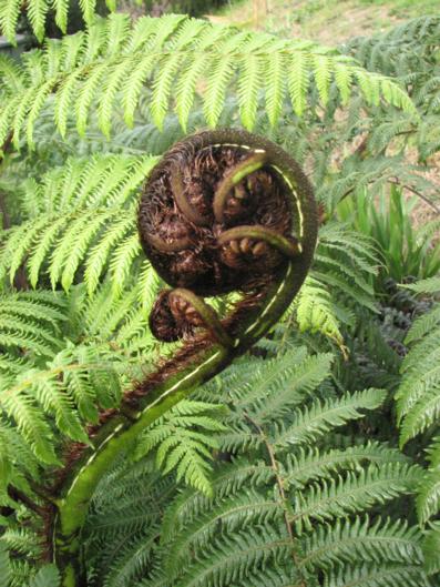 Petite Provence - Tourism Bookings NZ 10