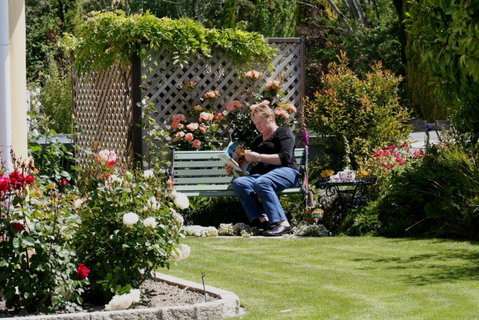 Nest Haven Bed & Breakfast Homestay - Tourism Bookings NZ 0