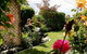 Nest Haven Bed & Breakfast Homestay - thumb 2