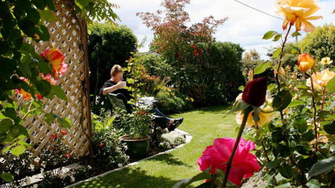 Nest Haven Bed & Breakfast Homestay - Tourism Bookings NZ 2